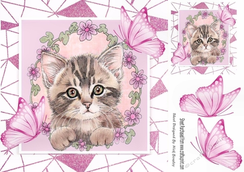 Sweet Kitten in frame of Abstract , flowers and pink butterflies 8x8