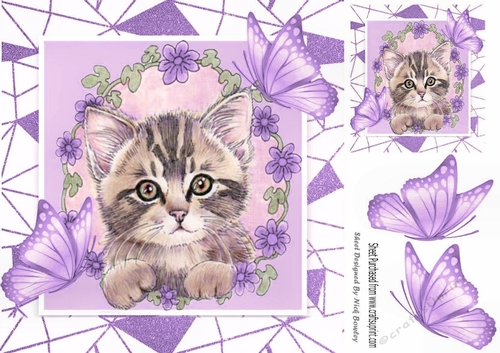 Sweet Kitten in frame of Abstract , flowers and purple butterflies 8x8