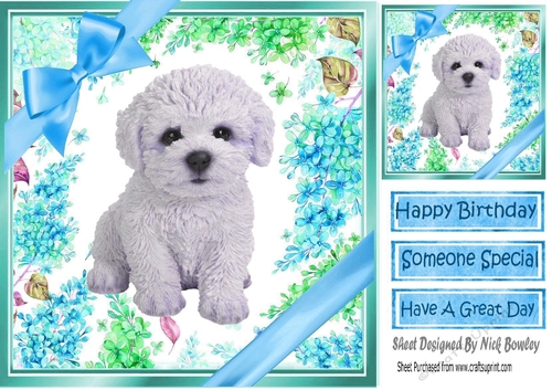 lovely little Bichon puppy (two) with blue bows  and flowers 8x8