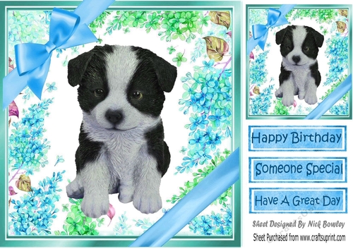 lovely little collie puppy (three) with blue bows  and flowers 8x8