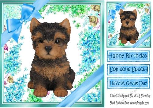 lovely little yorkie puppy (six) with blue bows  and flowers 8x8