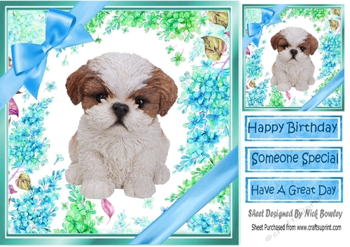 lovely little shitzu puppy (ten) with blue bows  and flowers 8x8