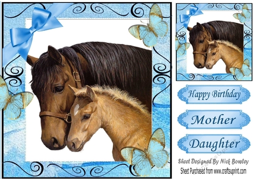 Moment with mum and baby foal with butterflies 8x8