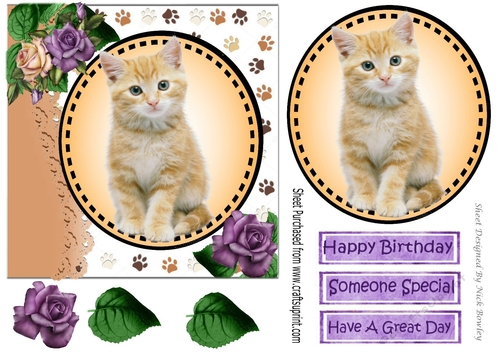 Sweet ginger/white kitten with purple/cream roses card front 7x7 with topper
