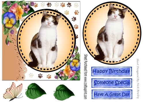 Sweet white/tan/black kitten with pretty flowers card front 7x7 with topper