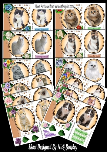 Cats & Kittens furry friends with flowers 12 lovely  7x7 card fronts bumper set
