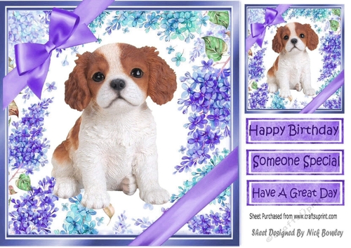 Gorgeous little cavalier puppy with purple bows and flowers 8x8