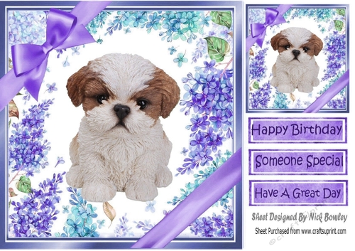 Gorgeous little shitzu puppy with purple bows and flowers 8x8