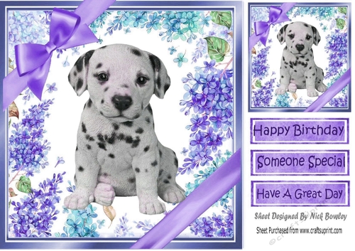 Gorgeous little dalmation puppy with bows  and flowers 8x8