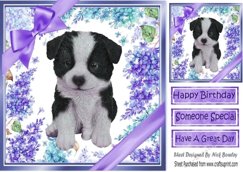 Gorgeous little dalmation puppy with purple bows and flowers 8x8
