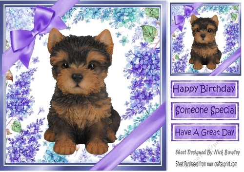 Gorgeous little yorki puppy with purple bows and flowers 8x8