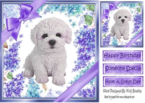 Gorgeous little bichon puppy with purple bows and flowers 8x8