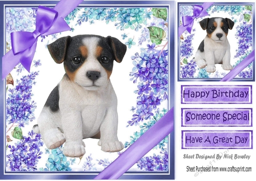 Gorgeous little jack russel puppy with purple bows and flowers 8x8