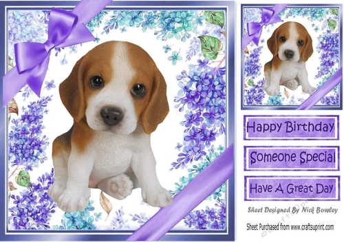 Gorgeous little beagle puppy with purple bows and flowers 8x8