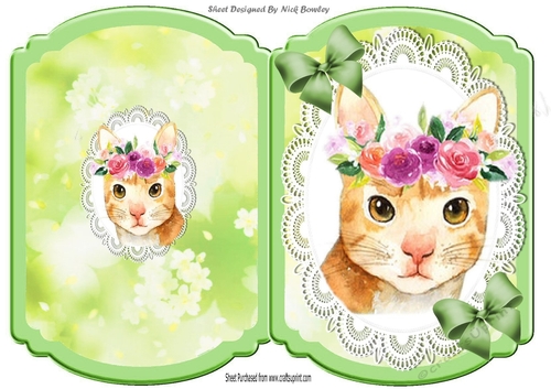 Pretty water colour cat with flowers on lace bracket card