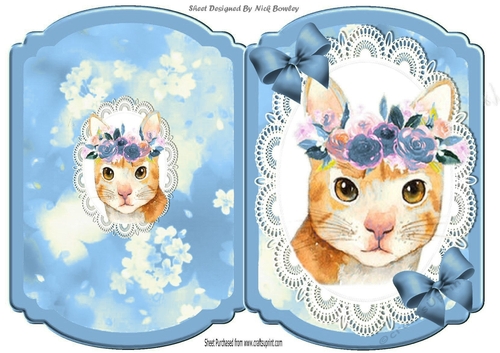 Pretty water colour cat with flowers on lace blue bracket card
