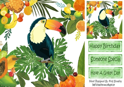 Lovely Tropical Fruit Frame with toucan 8x8