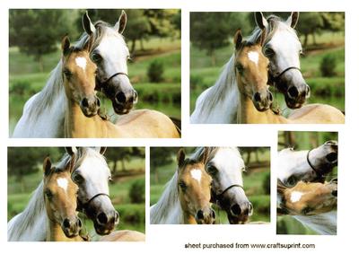 Two Horses Cuddling, Pyramids