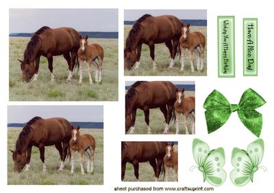 Mum & Baby Foal, Pyramids