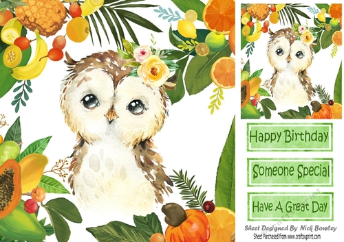 Lovely Tropical Fruit Frame with a cute owl 8x8 card front