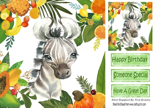 Lovely Tropical Fruit Frame with a pretty zebra 8x8 card front