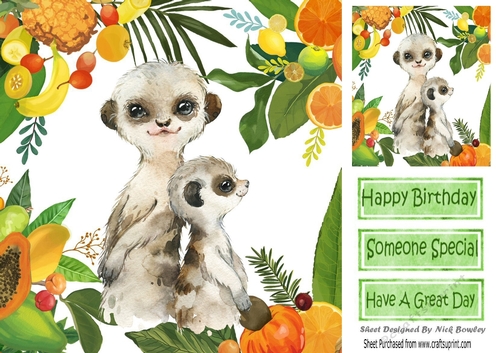 Lovely Tropical Fruit Frame with a cute  pair of meerkats 8x8
