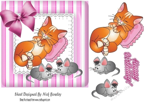 Cat taking a nap with naughty mice playing 7x7
