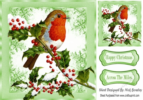 Lovely robin on a branch of berries with snow 8x8