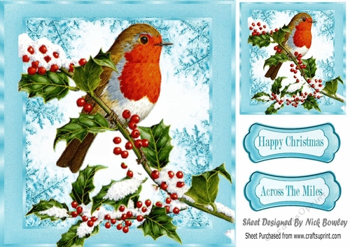Lovely robin on a branch of berries with snow (blue) 8x8