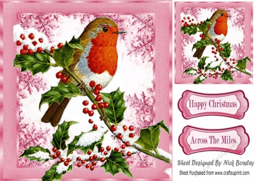 Lovely robin on a branch of berries with snow (pink) 8x8
