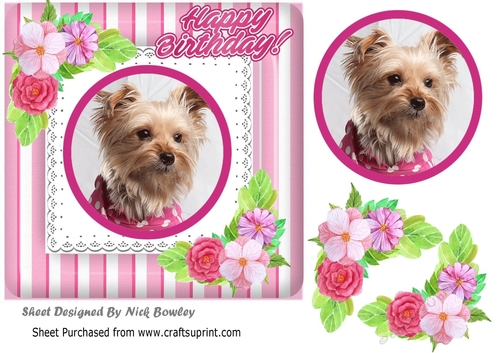 Cute yorkie puppy with corner flowers, pink striped 7x7 frame
