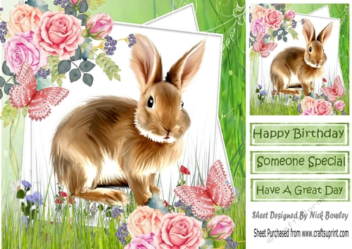 cute bunny with roses and butterflies 8x8