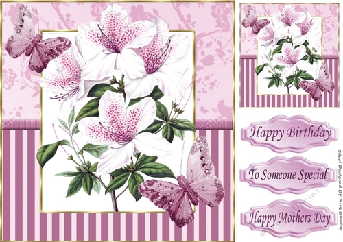 pretty shades of water colour lilies  pink/white in stripe 8x8 frame