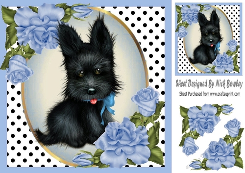 Cute black scottie dog with blue corner roses & polkadot 8x8