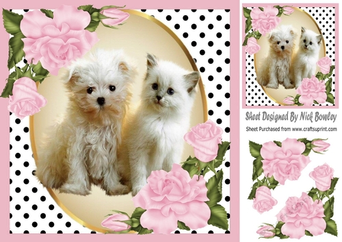 Cute kitten/puppy with pink corner roses and polkadot 8x8