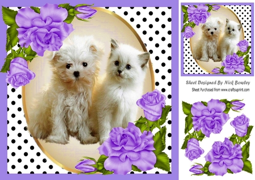 Cute kitten/puppy with purple corner roses and polkadot 8x8