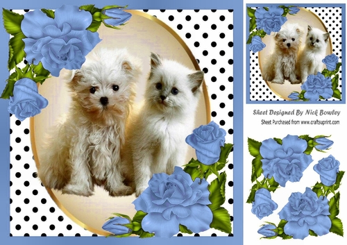 Cute kitten/puppy with blue corner roses and polkadot 8x8