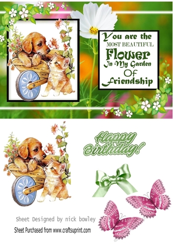 Flower of friendship in pretty floral A5 Frame with puppy/kitten
