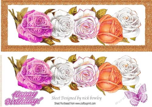 Pretty border of roses with butterfly DL (two)