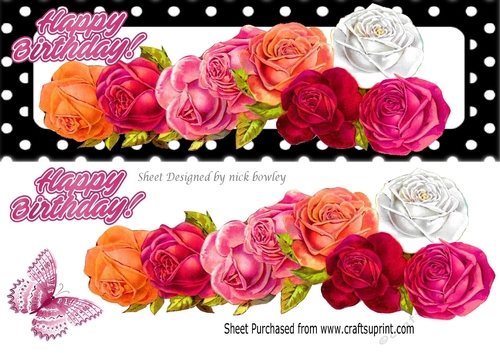 Pretty border of roses with butterfly in black/white polkadot DL