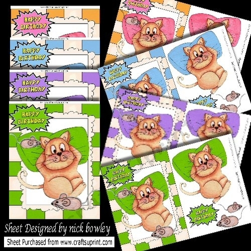 8 Fat Lazy Cats with mice in watercolours (4 A4 & 4 A5) Cards BUMPER KIT