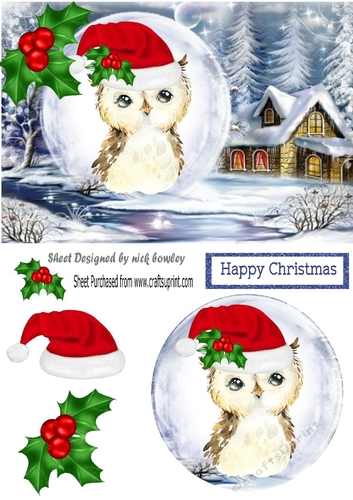 Lovely snow scene with owl in santa hat in snowball with holly A5