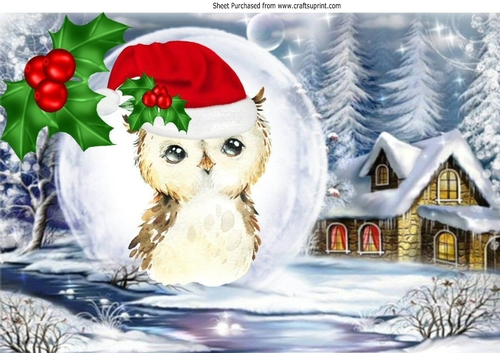 Lovely snow scene with owl in santa hat in snowball with holly A4