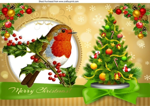 Lovely robin on a branch with snow, & christmas tree A4