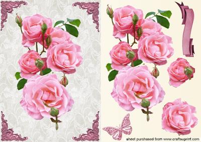 Pretty Pink Roses & Butterfly