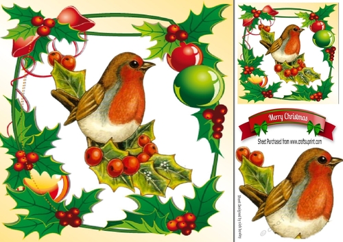 Lovely robin in holly and berry frame 8x8
