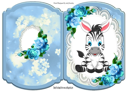 Cute zebra on lace with blue roses bracket card
