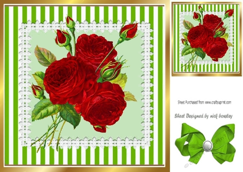 Pretty red roses in striped green frame with lace 8x8