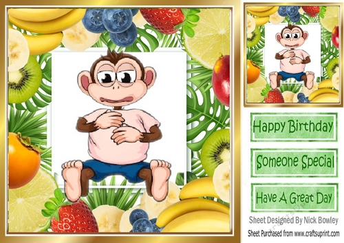 Cheeky monkey in pink t shirt assorted fruit frame 8x8