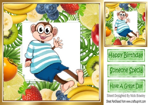 Cheeky monkey in blue striped t shirt assorted fruit frame 8x8